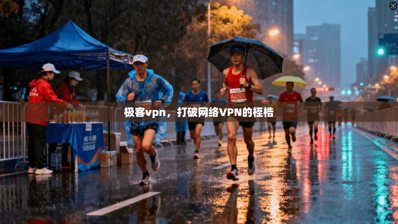 极客vpn,打破网络VPN的桎梏