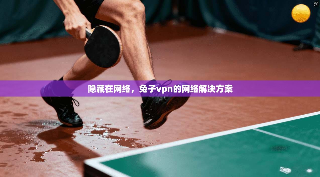 隐藏在网络，兔子vpn的网络解决方案