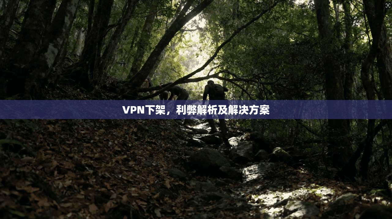 VPN下架，利弊解析及解决方案