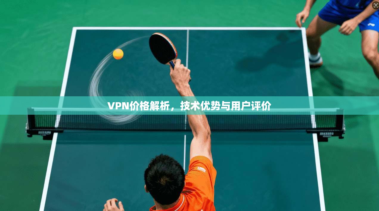 VPN价格解析，技术优势与用户评价