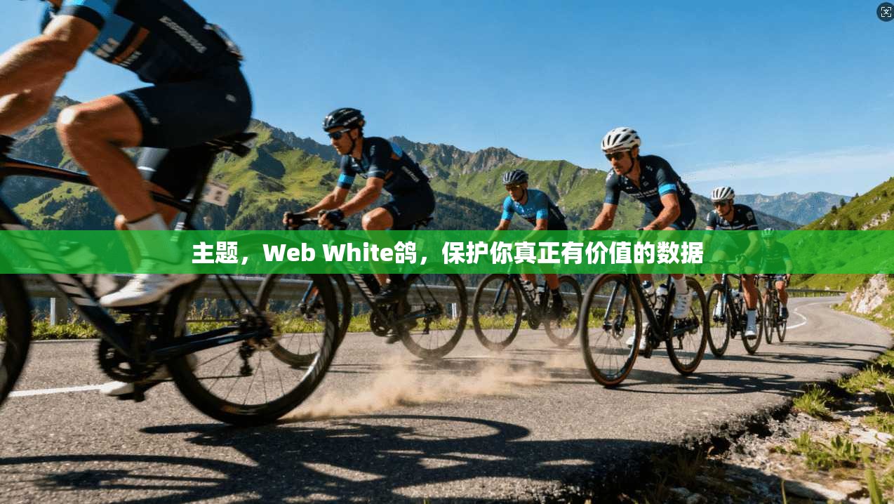 主题，Web White鸽，保护你真正有价值的数据