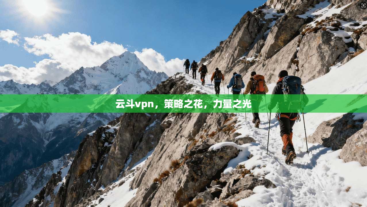 云斗vpn，策略之花，力量之光