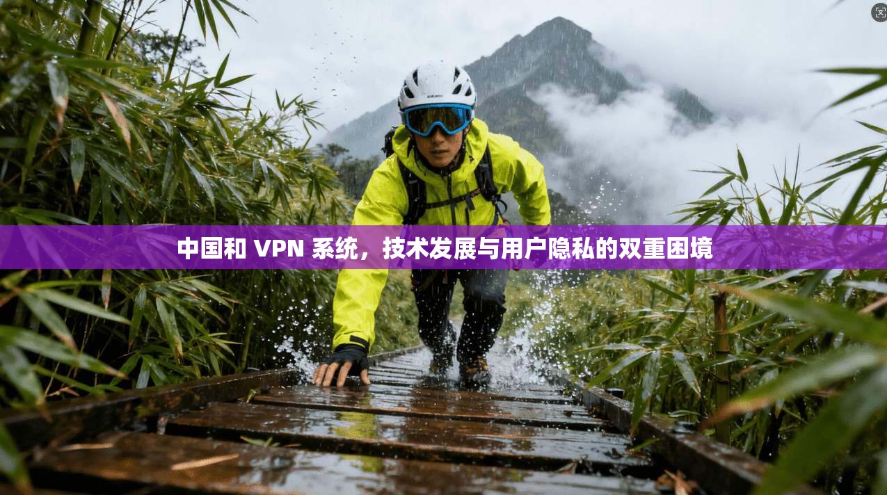 中国和 VPN 系统，技术发展与用户隐私的双重困境
