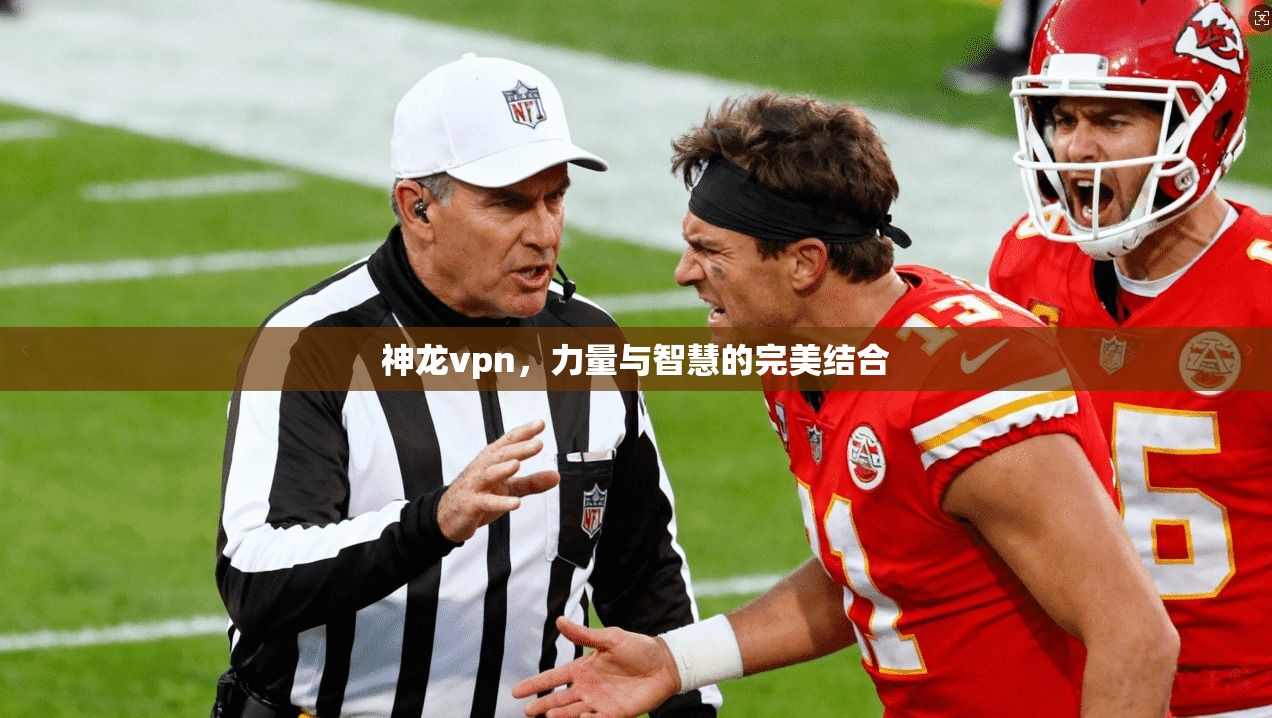 神龙vpn，力量与智慧的完美结合