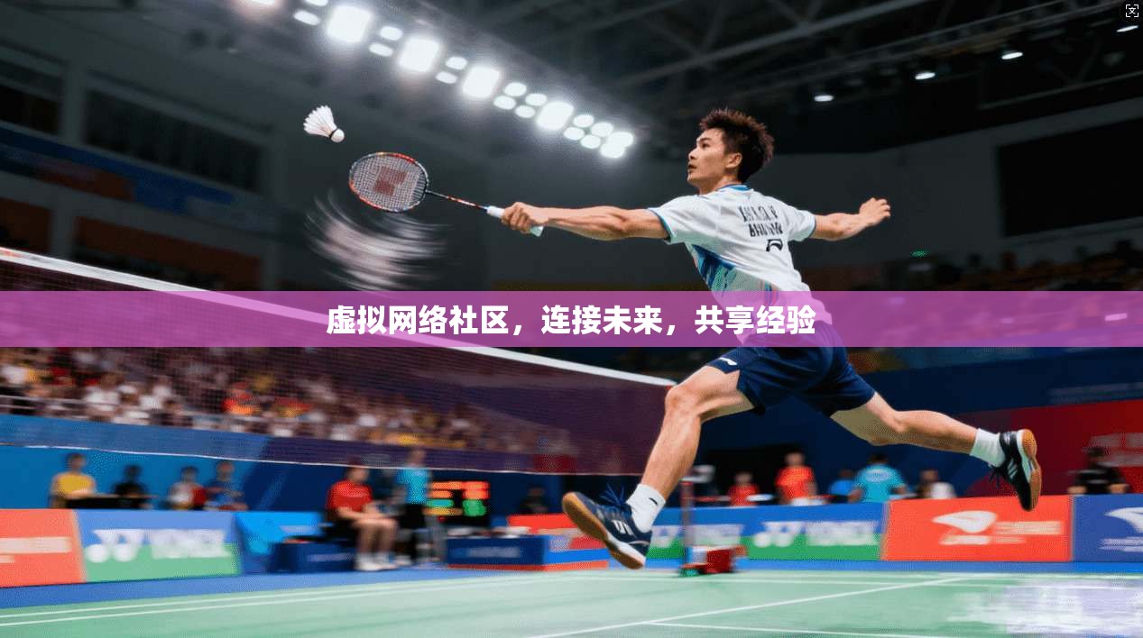 虚拟网络社区，连接未来，共享经验