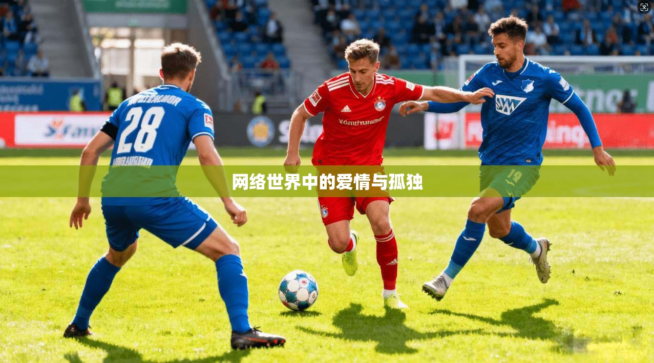 网络世界中的爱情与孤独