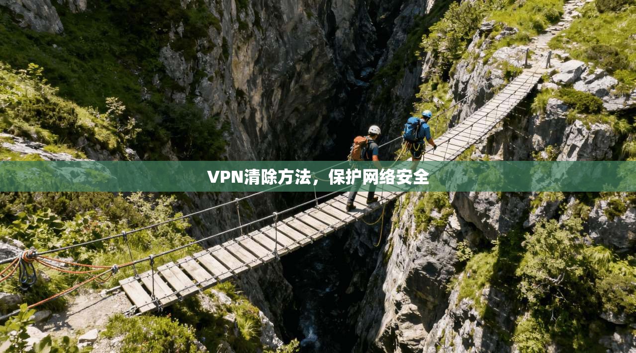VPN清除方法，保护网络安全