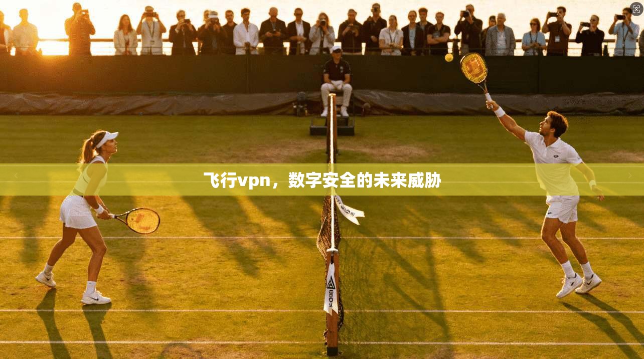 飞行vpn，数字安全的未来威胁