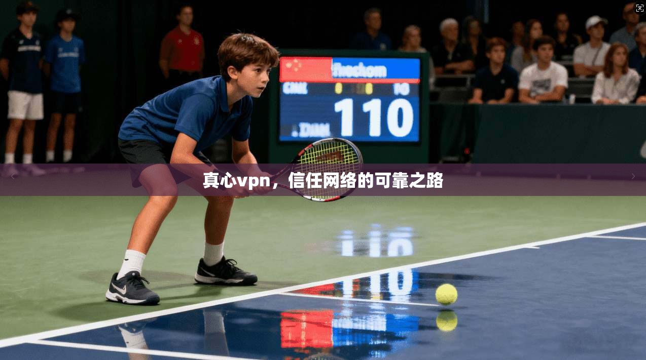 真心vpn，信任网络的可靠之路