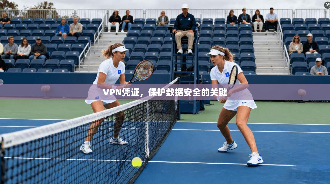 VPN凭证，保护数据安全的关键