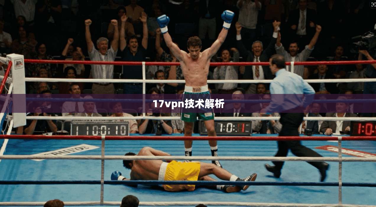 17vpn技术解析