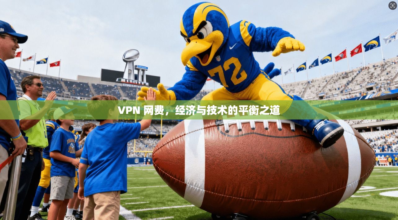 VPN 网费，经济与技术的平衡之道