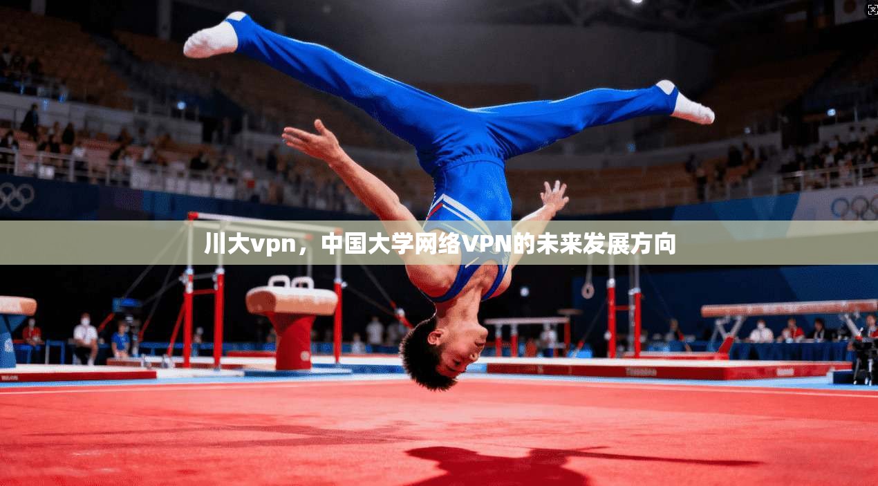 川大vpn，中国大学网络VPN的未来发展方向
