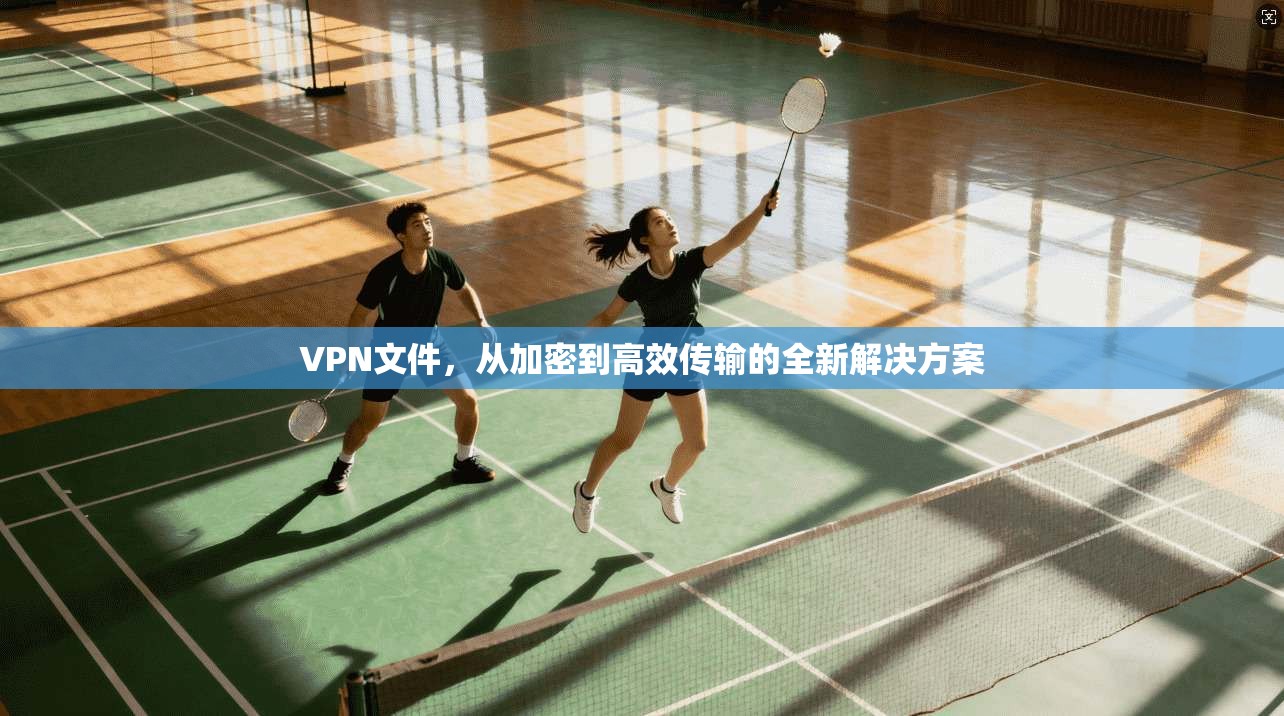 VPN文件，从加密到高效传输的全新解决方案