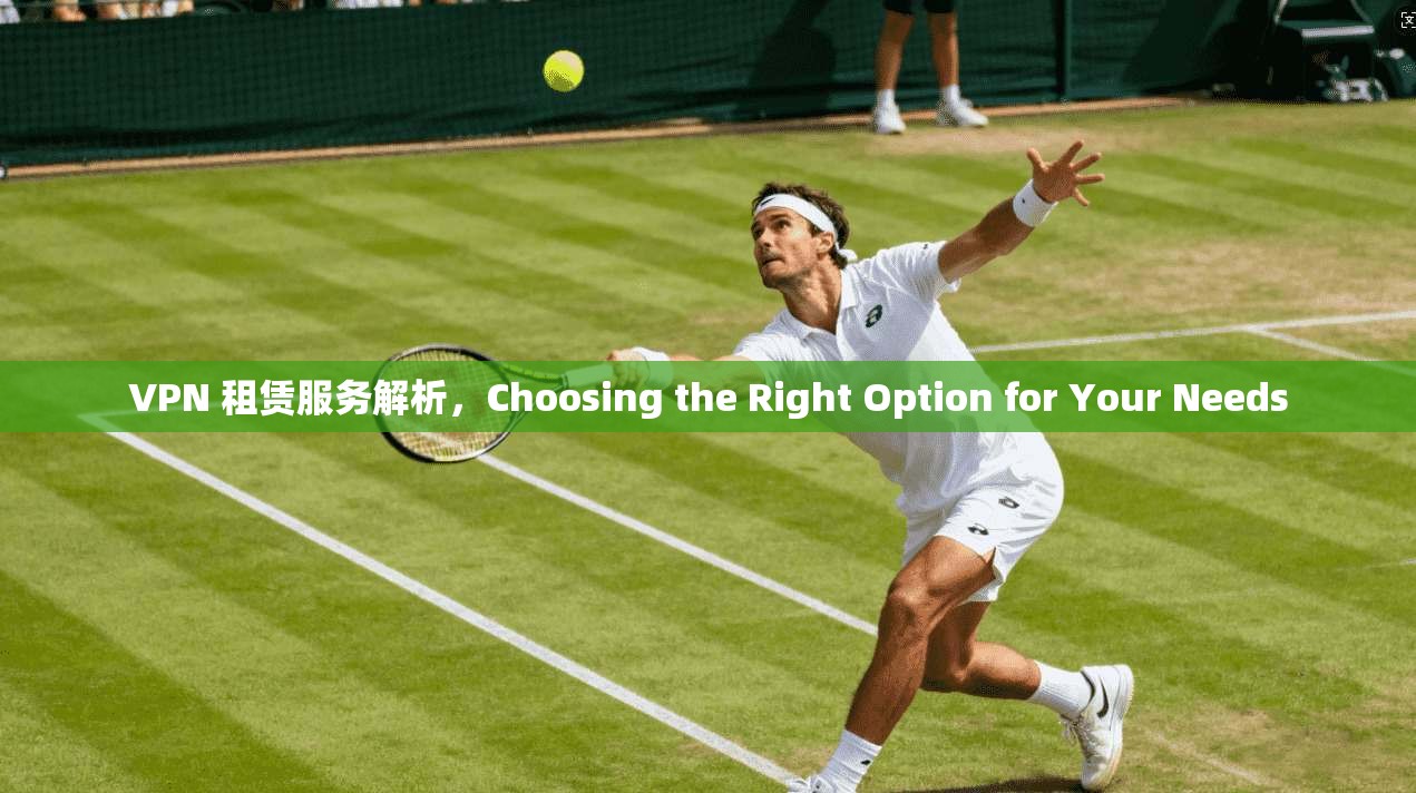 VPN 租赁服务解析，Choosing the Right Option for Your Needs