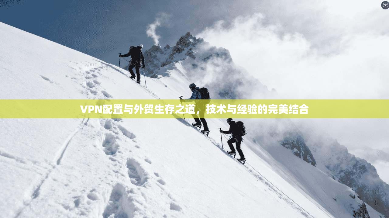 VPN配置与外贸生存之道，技术与经验的完美结合