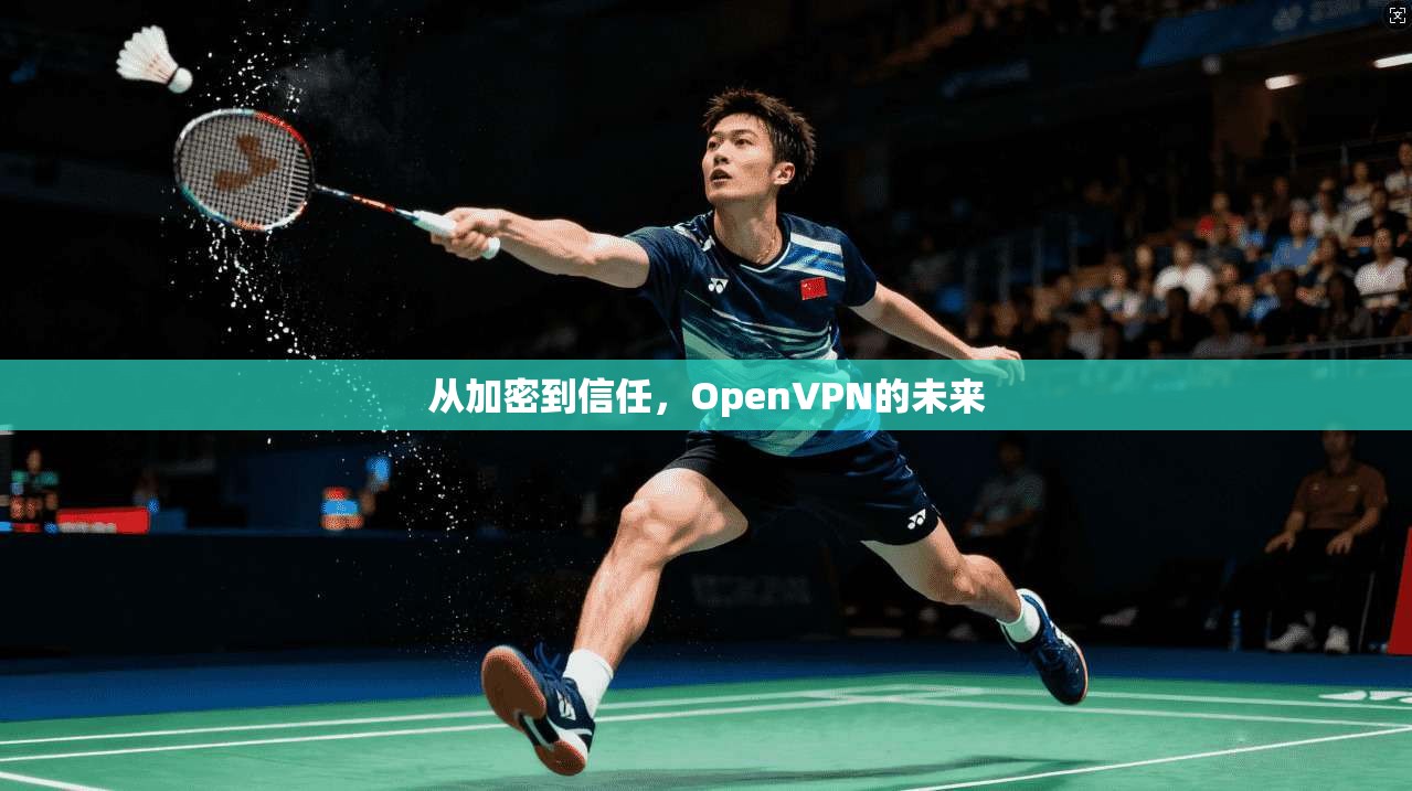 从加密到信任，OpenVPN的未来