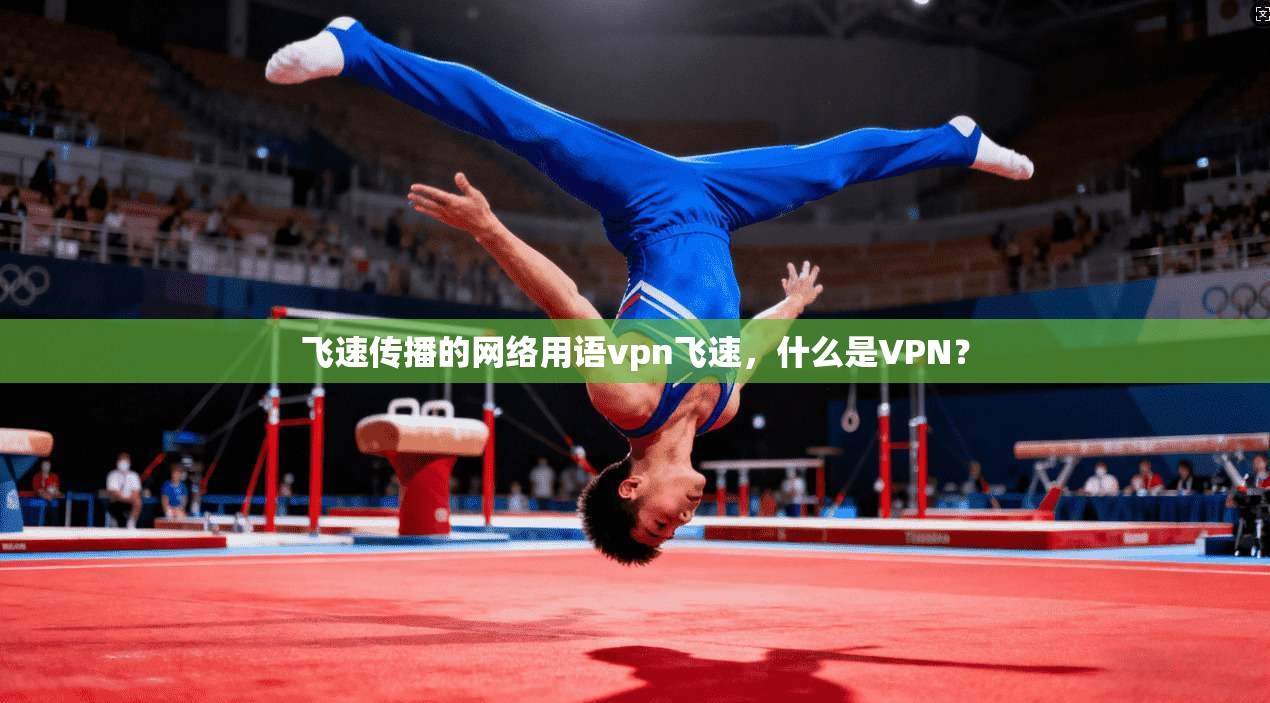 飞速传播的网络用语vpn飞速，什么是VPN？