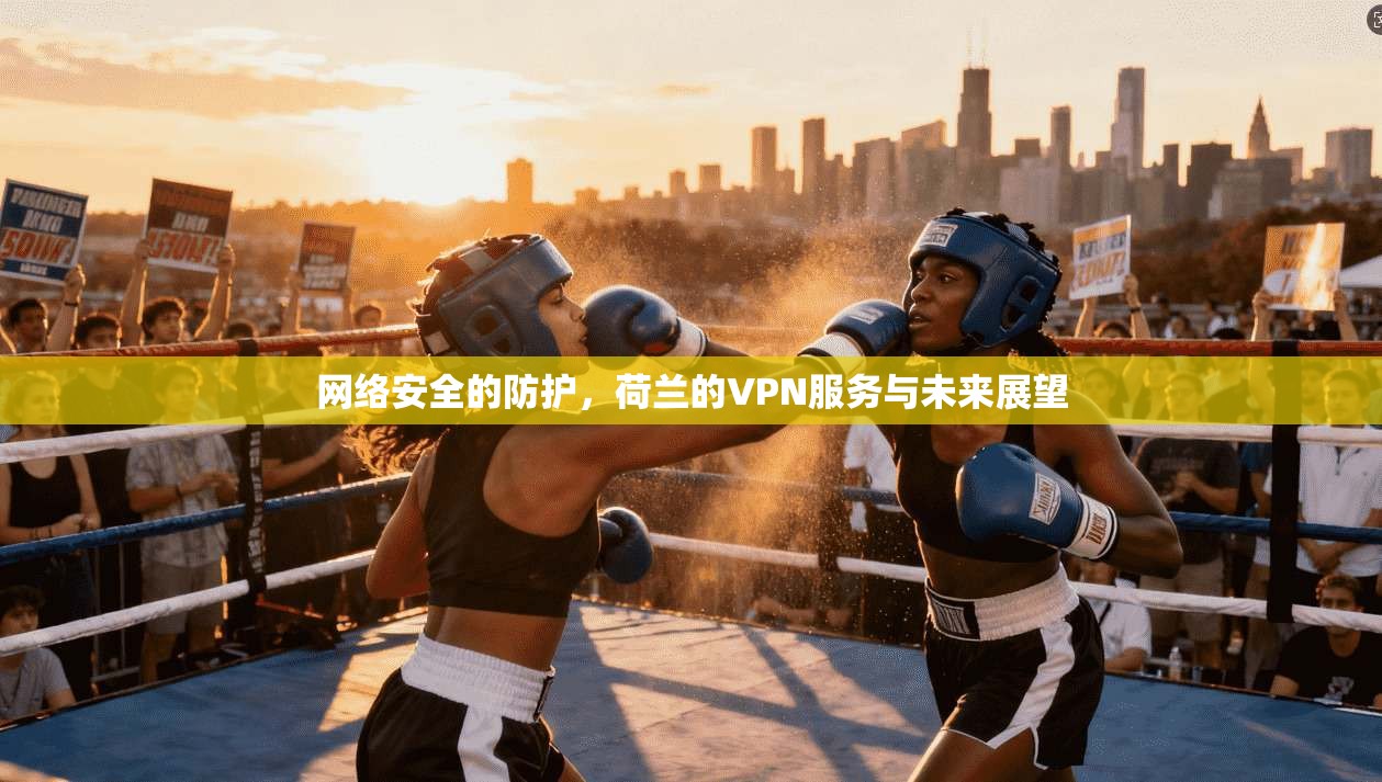 网络安全的防护，荷兰的VPN服务与未来展望