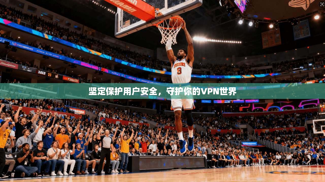 坚定保护用户安全，守护你的VPN世界