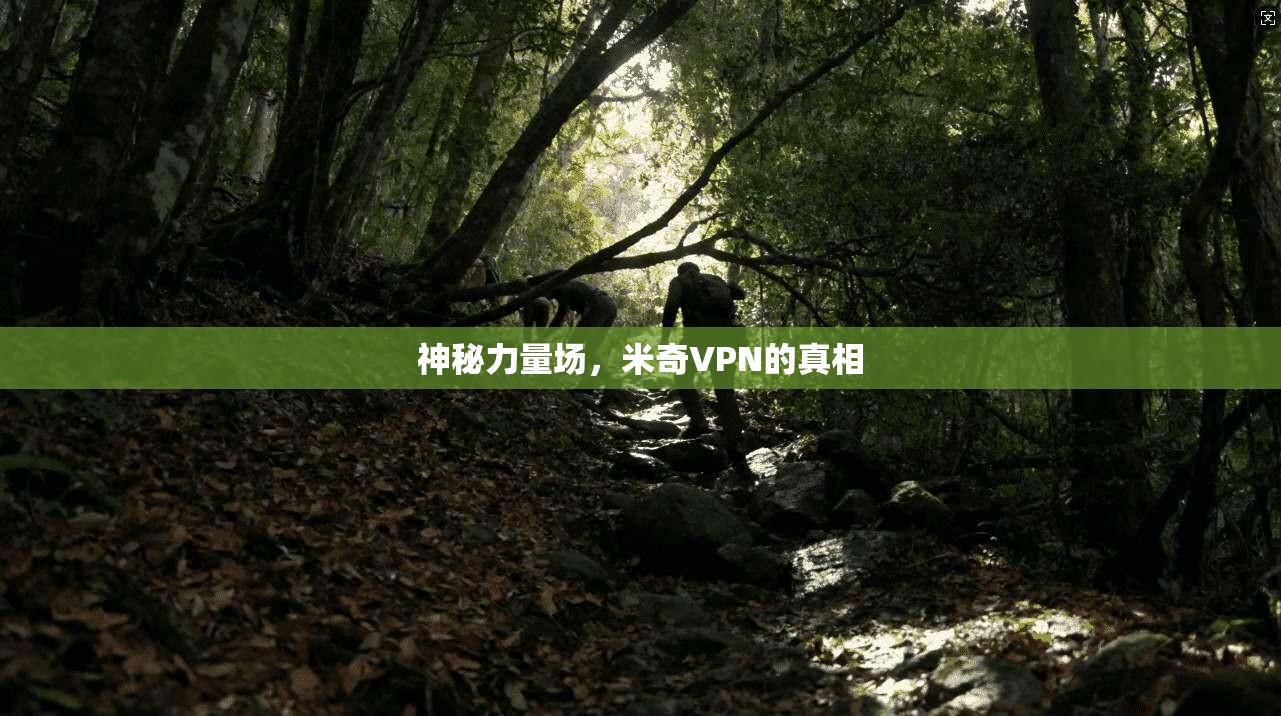 神秘力量场，米奇VPN的真相