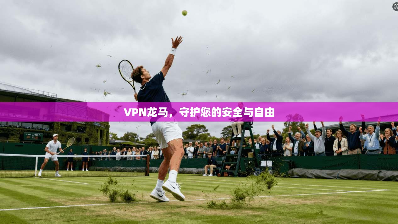 VPN龙马，守护您的安全与自由