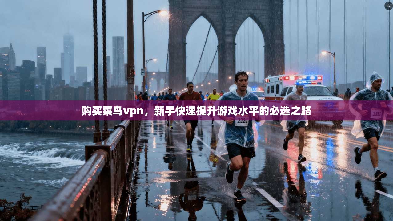 购买菜鸟vpn，新手快速提升游戏水平的必选之路