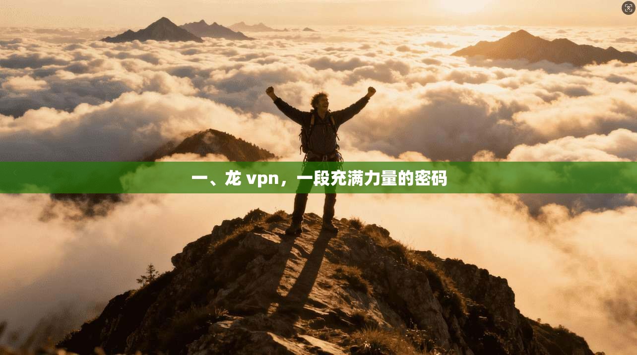 一、龙 vpn，一段充满力量的密码