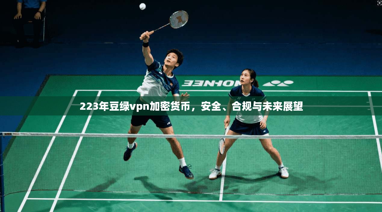 223年豆绿vpn加密货币，安全、合规与未来展望