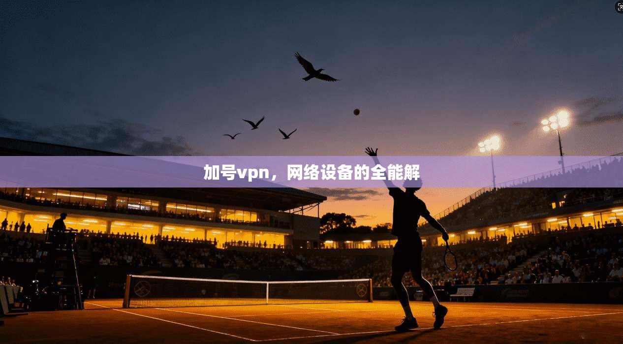 加号vpn，网络设备的全能解