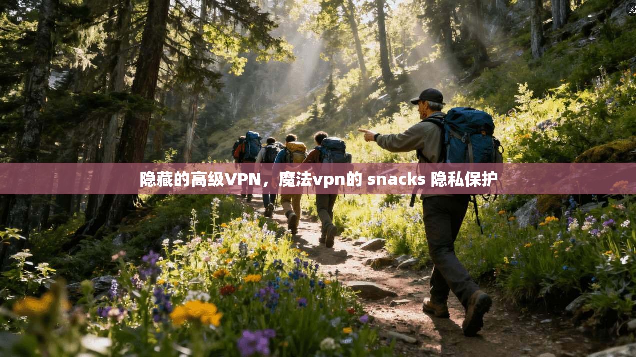 隐藏的高级VPN，魔法vpn的 snacks 隐私保护