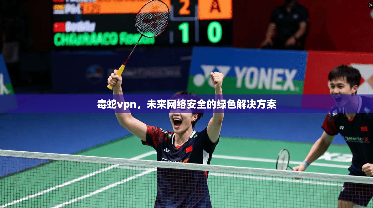 毒蛇vpn，未来网络安全的绿色解决方案