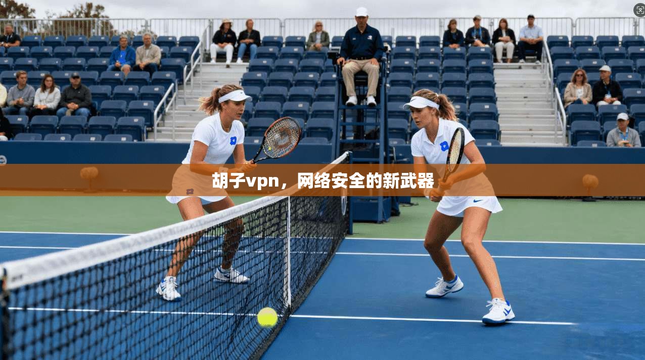 胡子vpn，网络安全的新武器