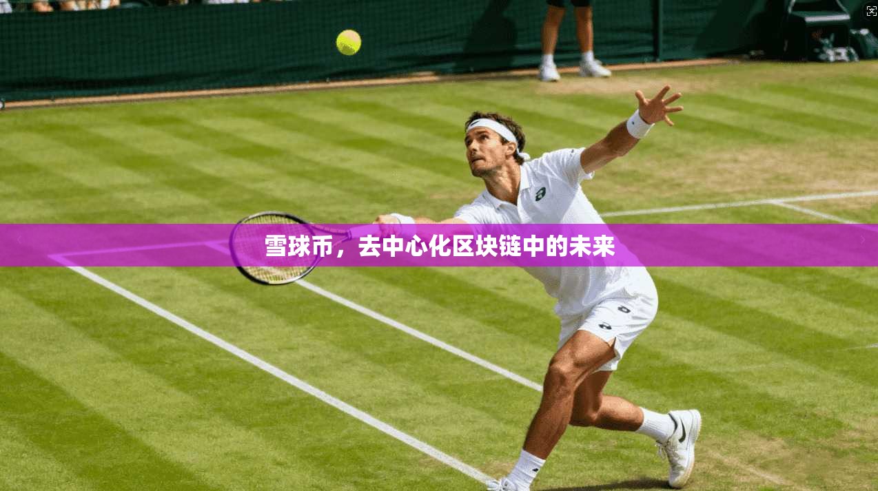 雪球币，去中心化区块链中的未来