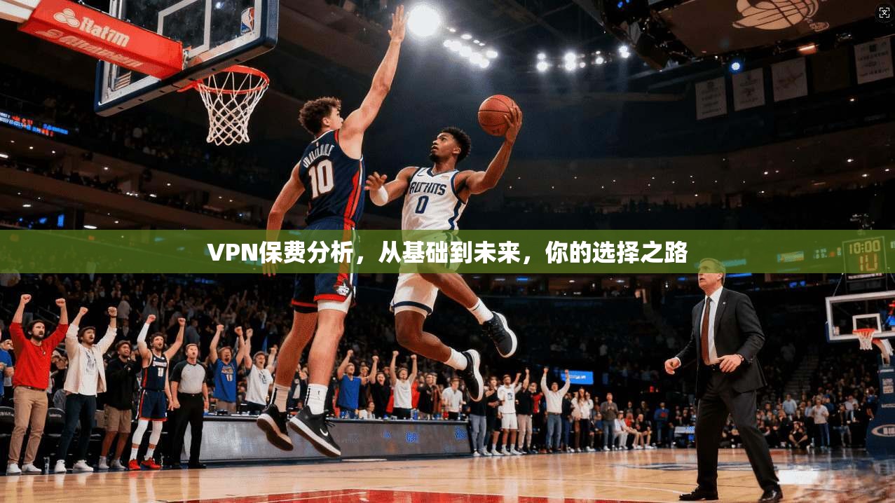 VPN保费分析，从基础到未来，你的选择之路