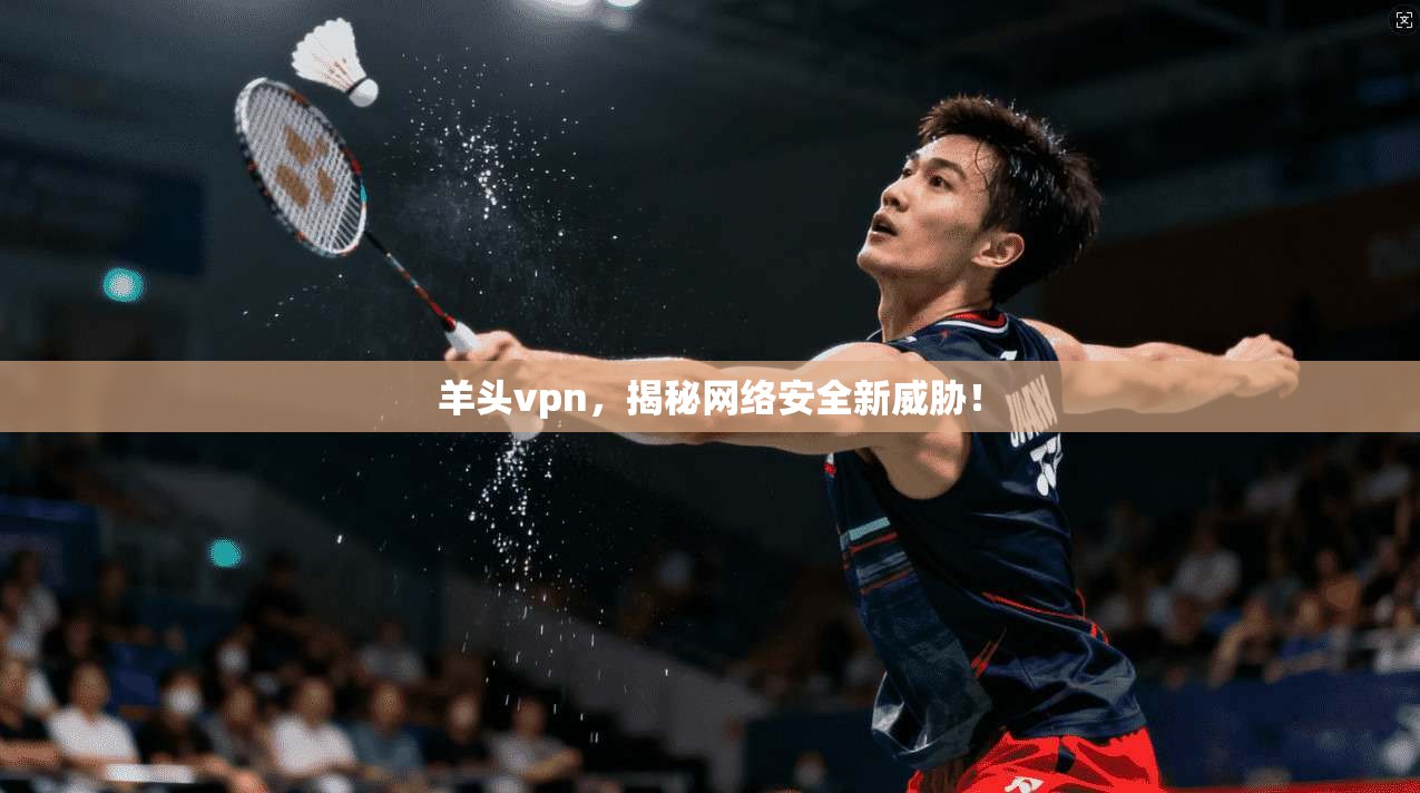 羊头vpn，揭秘网络安全新威胁！