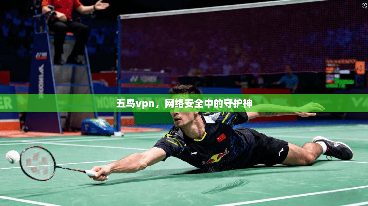 五鸟vpn，网络安全中的守护神