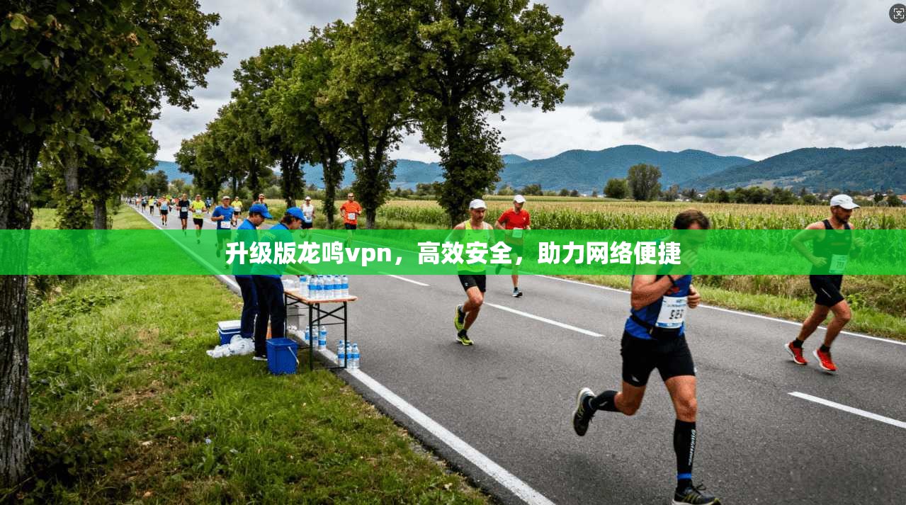 升级版龙鸣vpn，高效安全，助力网络便捷