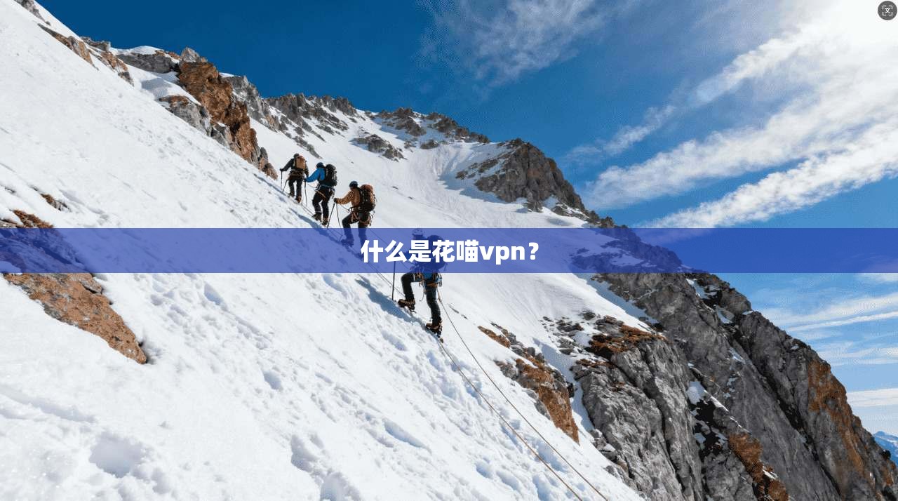 什么是花喵vpn？