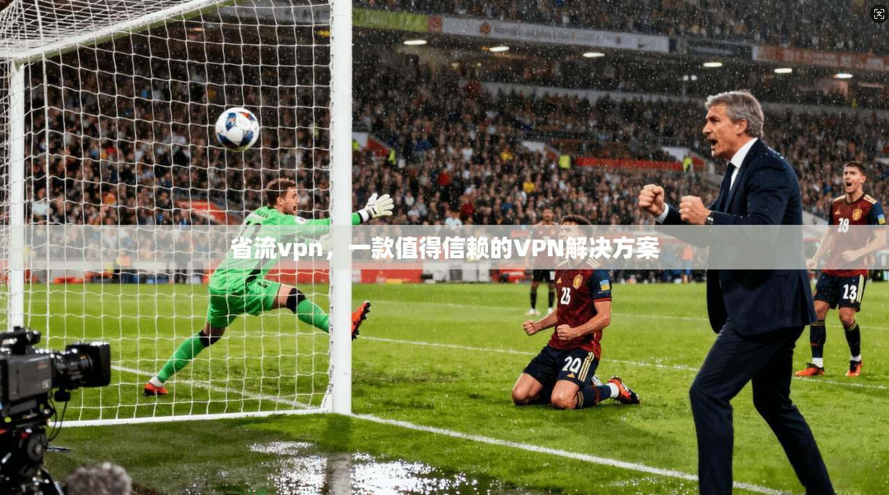 省流vpn，一款值得信赖的VPN解决方案