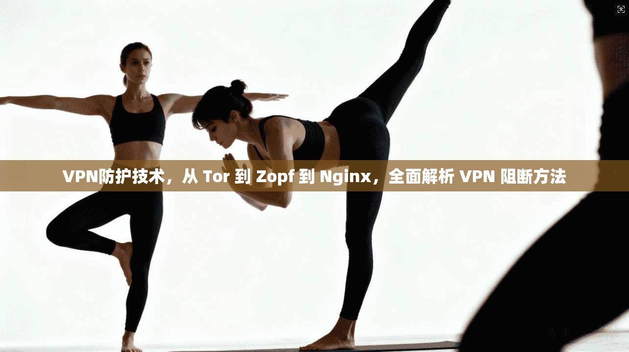 VPN防护技术，从 Tor 到 Zopf 到 Nginx，全面解析 VPN 阻断方法