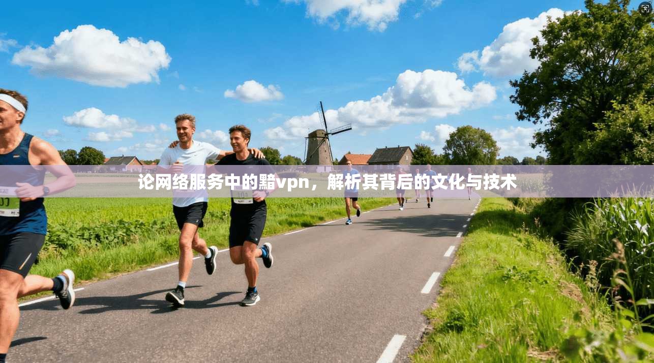 论网络服务中的黯vpn，解析其背后的文化与技术