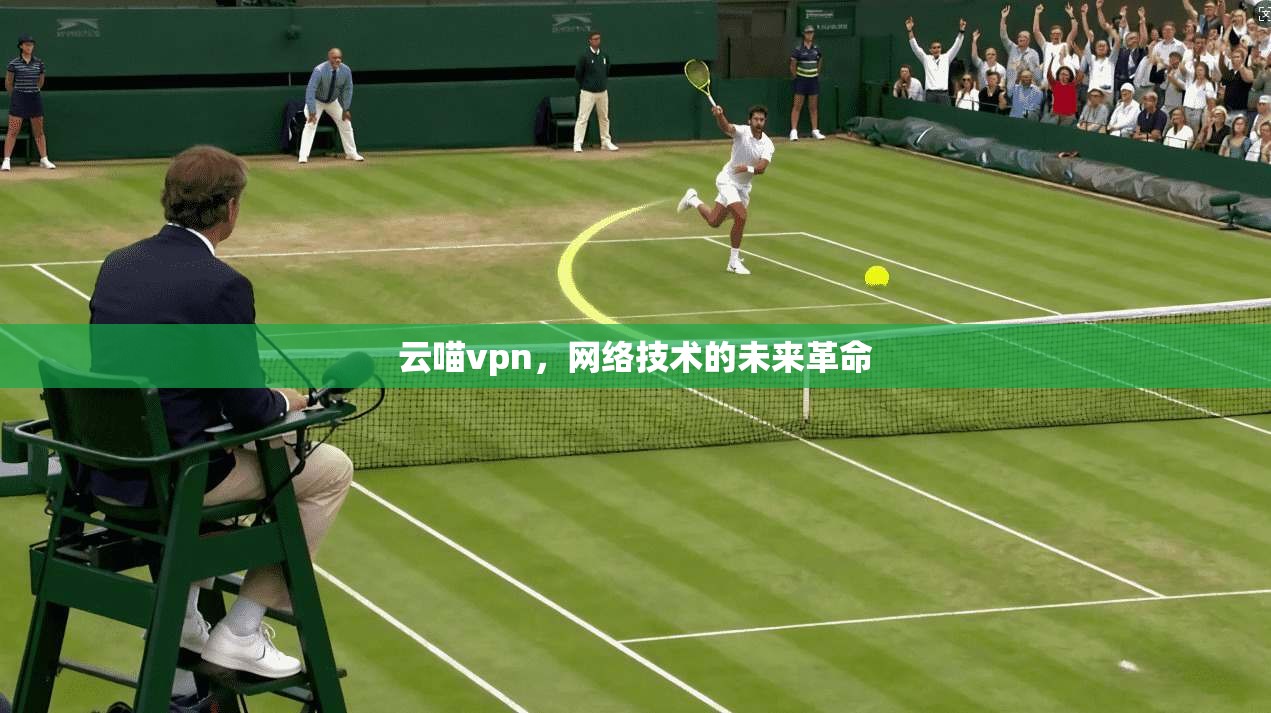 云喵vpn，网络技术的未来革命