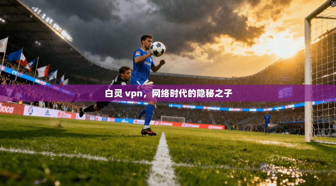 白灵 vpn，网络时代的隐秘之子