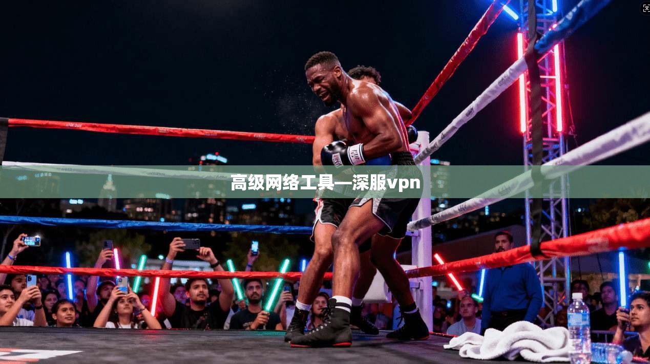 高级网络工具—深服vpn