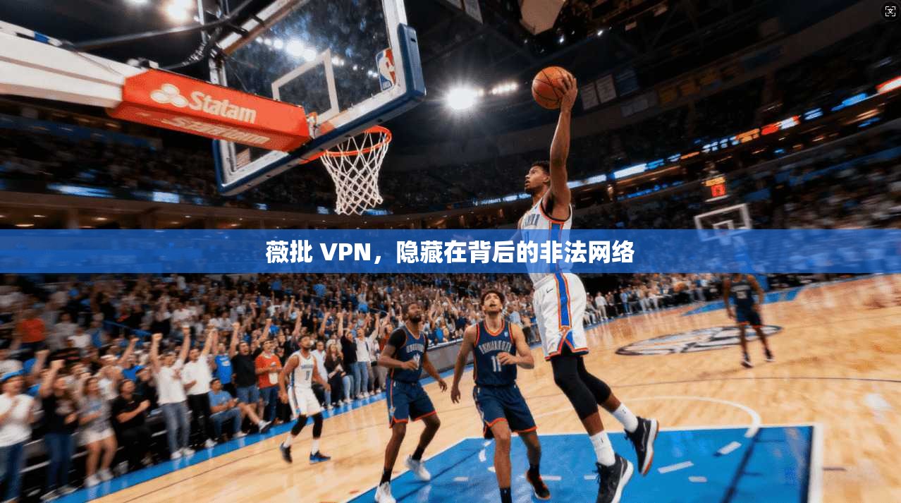 薇批 VPN，隐藏在背后的非法网络