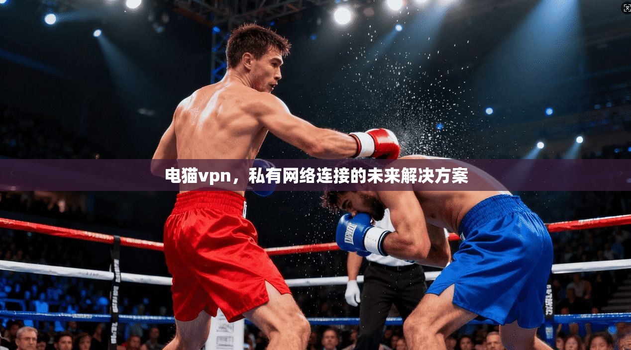 电猫vpn，私有网络连接的未来解决方案