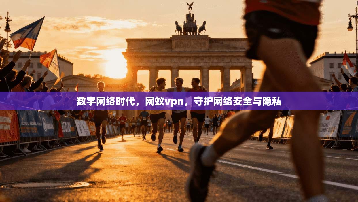 数字网络时代，网蚁vpn，守护网络安全与隐私
