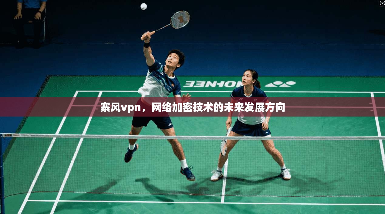 寨风vpn，网络加密技术的未来发展方向