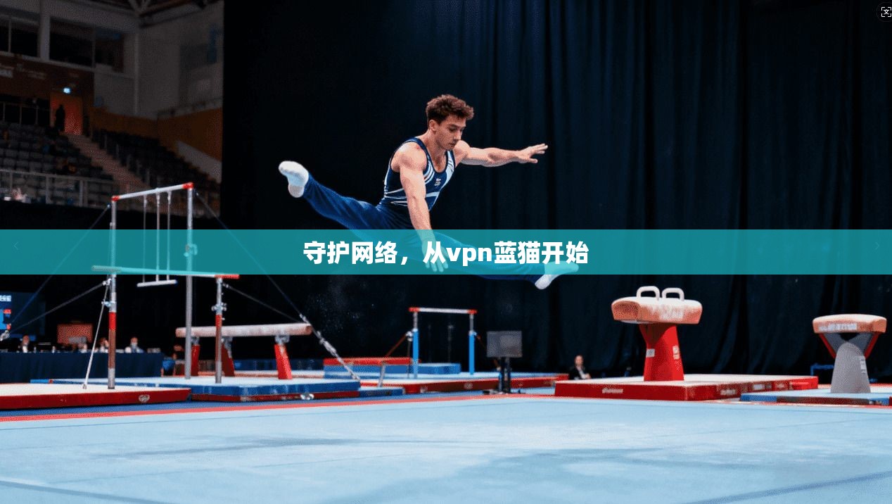守护网络，从vpn蓝猫开始